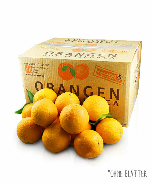 Orangen aus Mallorca 10 kg Kiste